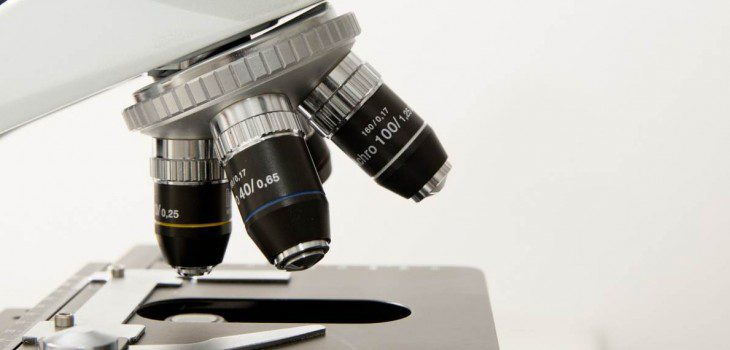 BIOFORGE - GRUPO DE MATERIALES AVANZADOS Y NANOBIOTECNOLOGÍA