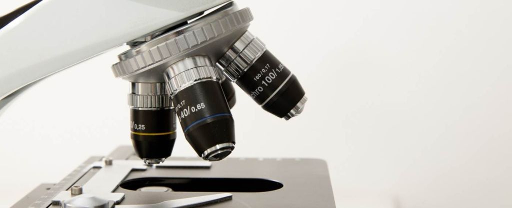 Investigation in Bioforge